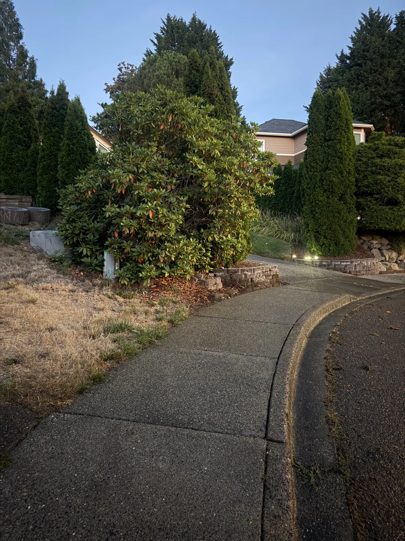 Clean sidewalk after exterior washing