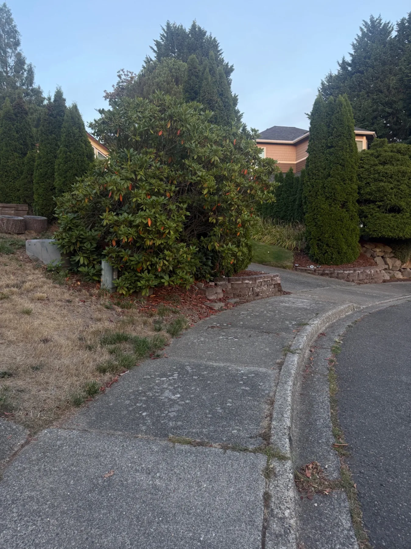 Sidewalk before exterior washing